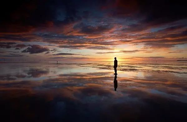 image-20230322194430961